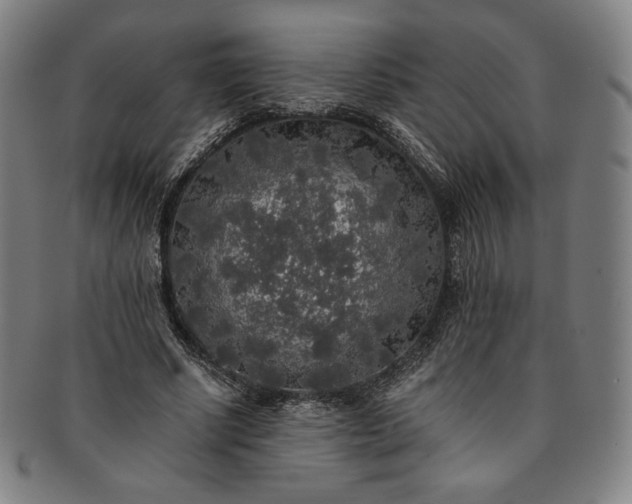 X0000091200634200708231531