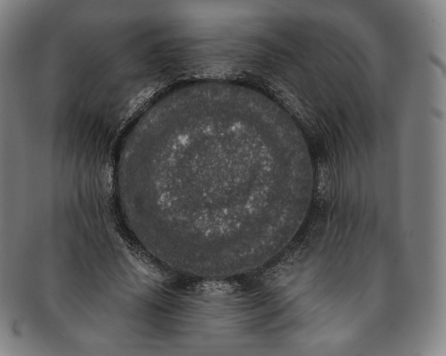 X0000091200636200708231531