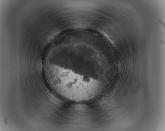 X0000091200637200708231531