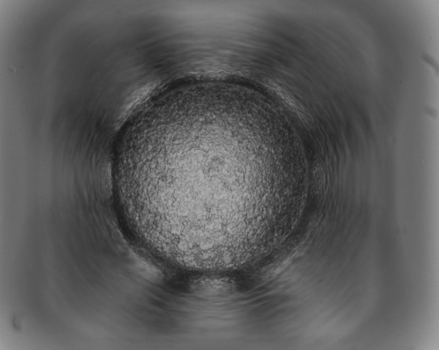 X0000091200638200708231531
