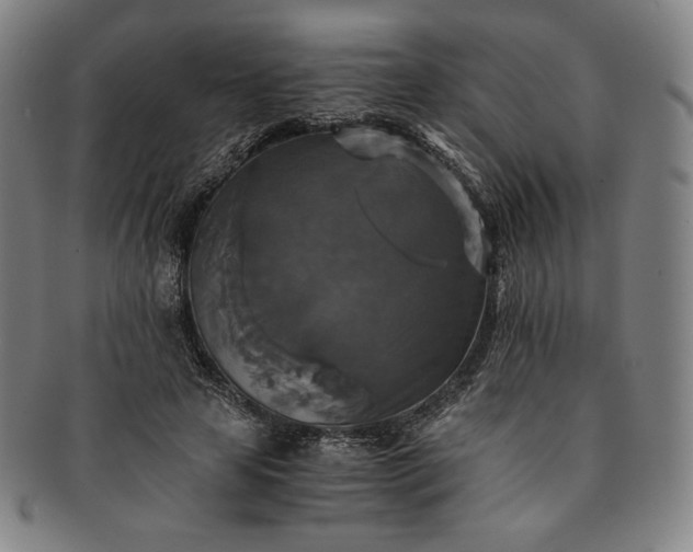 X0000091200641200708231531