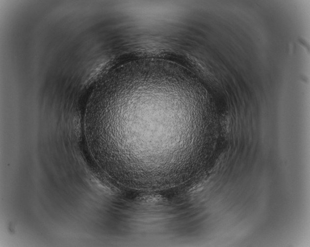 X0000091200642200708231531