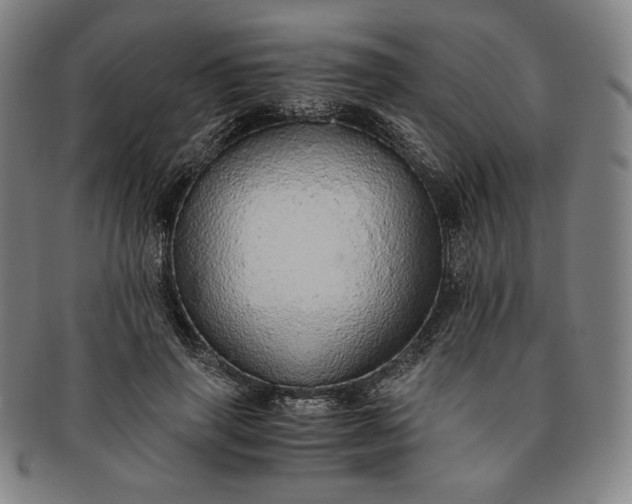 X0000091200645200708231531