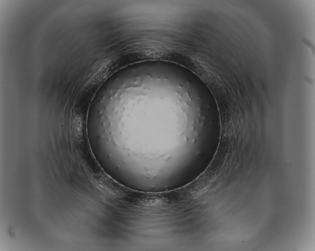 X0000091200646200708231531