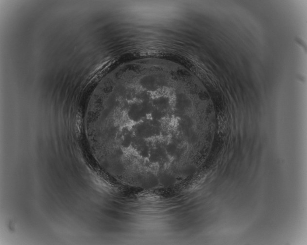 X0000091200648200708231531