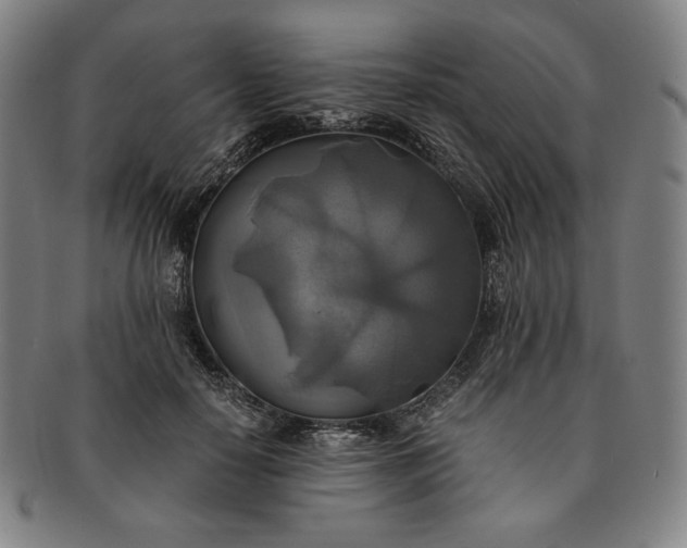 X0000091200650200708231531
