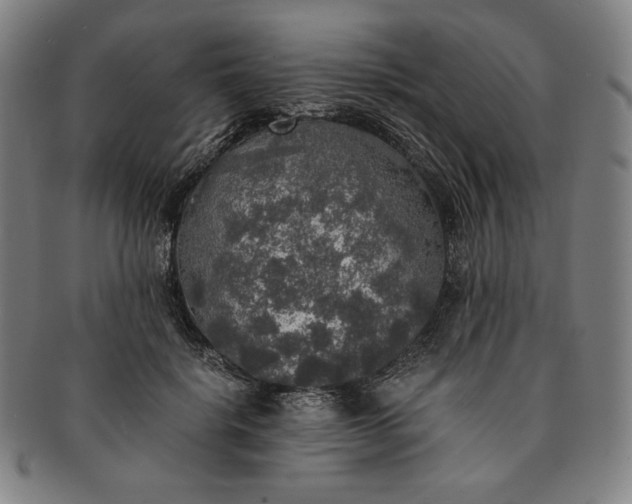 X0000091200652200708231531
