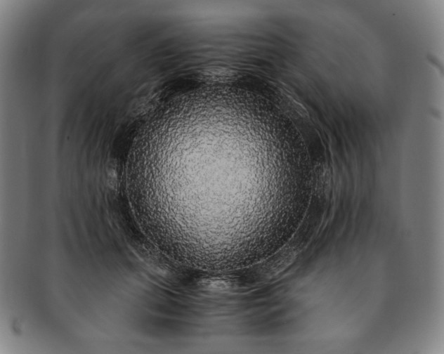 X0000091200655200708231532
