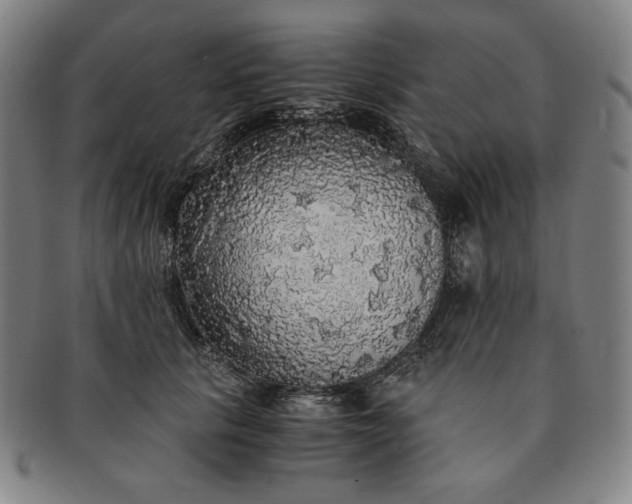 X0000091200657200708231532