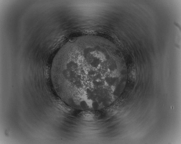 X0000091200658200708231532