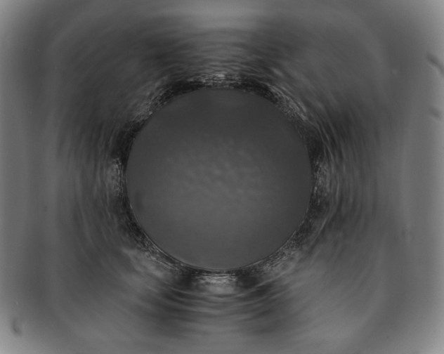 X0000091200659200708231532