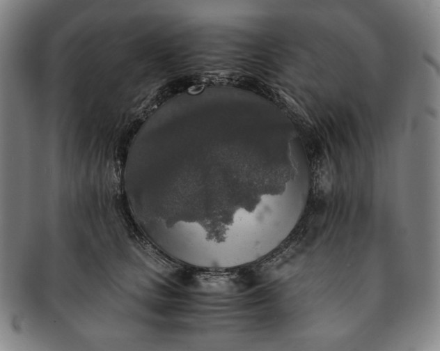 X0000091200661200708231532