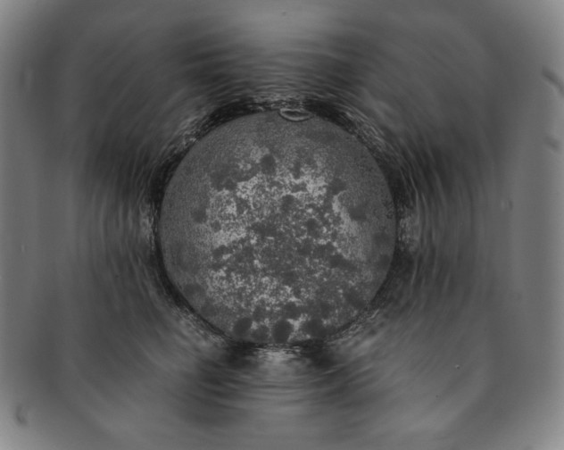 X0000091200662200708231532