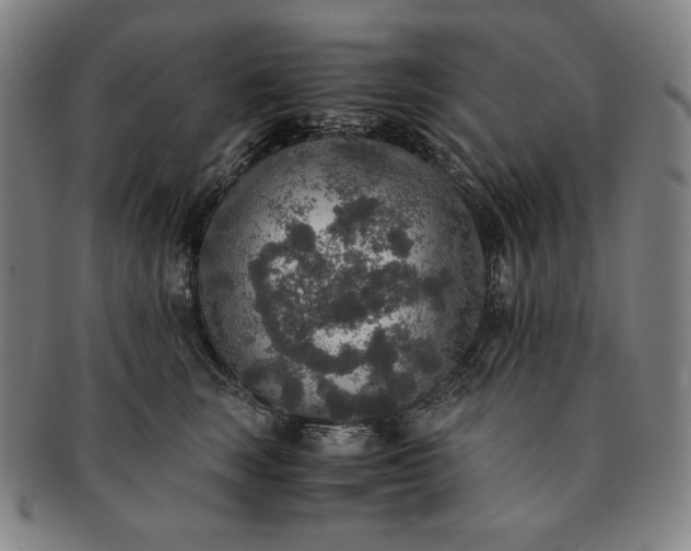 X0000091200663200708231532