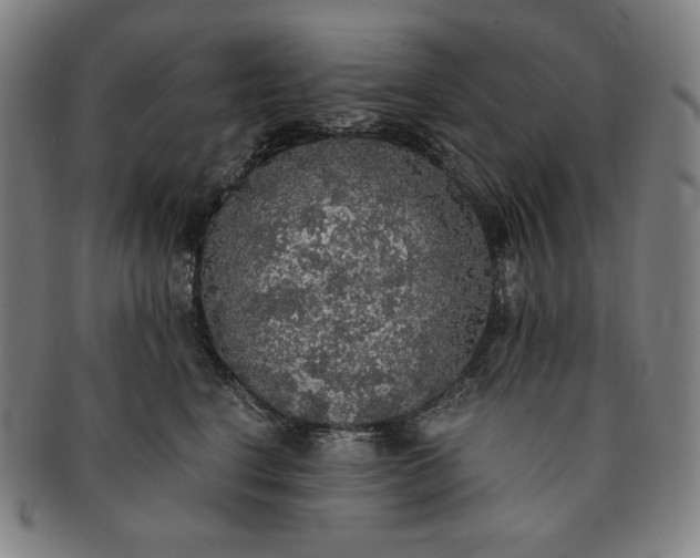 X0000091200664200708231532