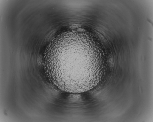X0000091200665200708231532