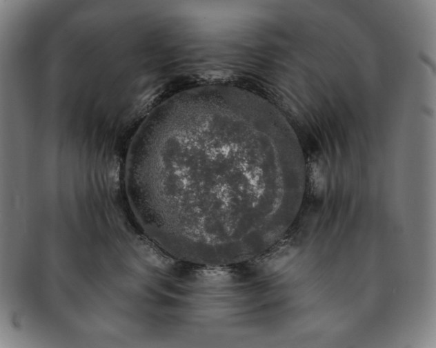 X0000091200668200708231532