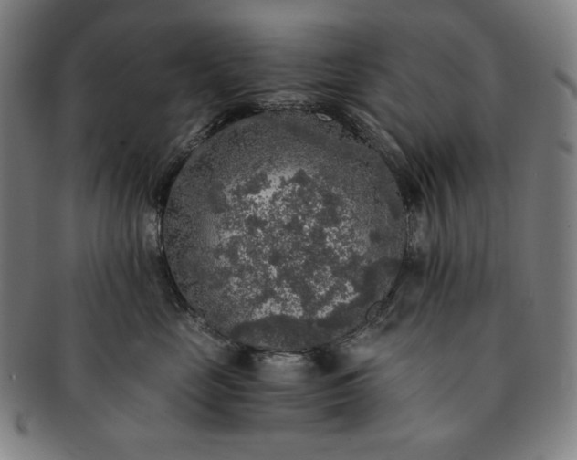 X0000091200669200708231532