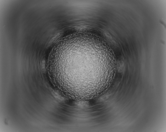 X0000091200670200708231532