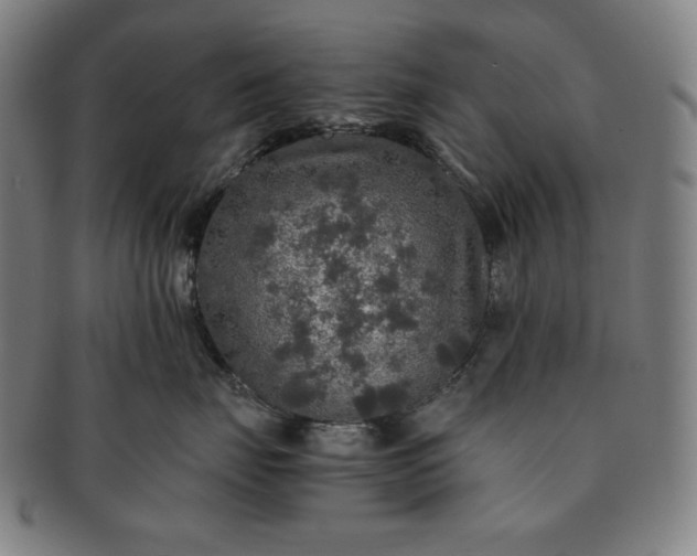 X0000091200671200708231532