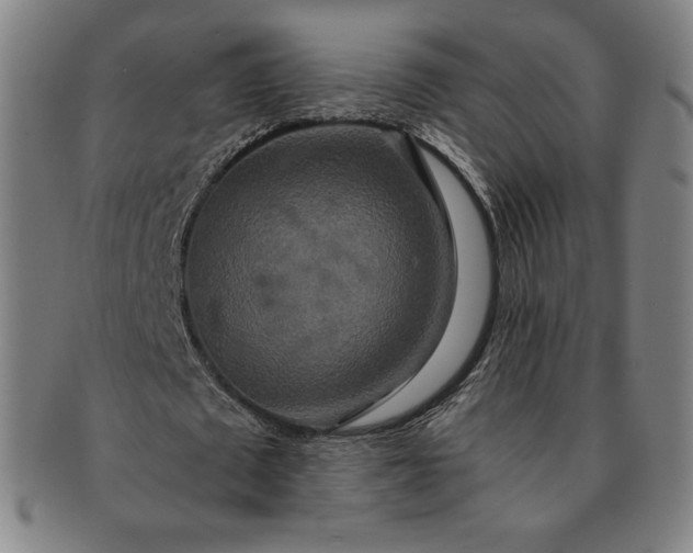 X0000091200673200708231531