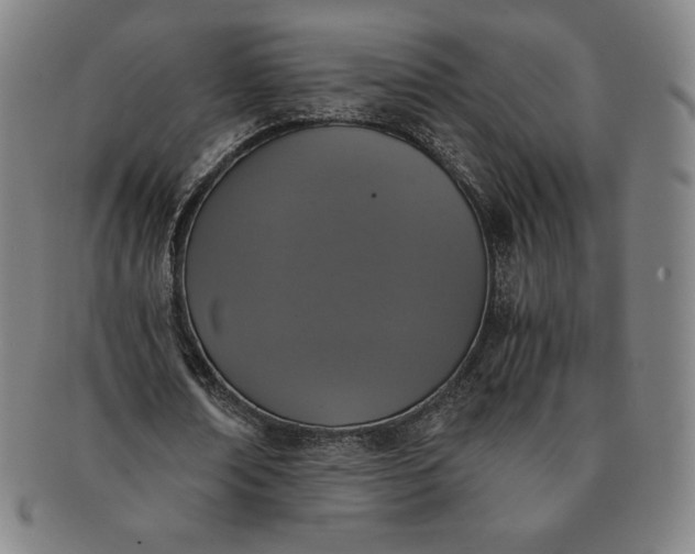 X0000091200674200708231531