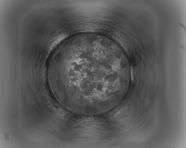 X0000091200675200708231531