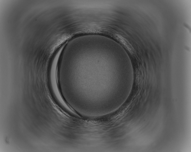 X0000091200677200708231531