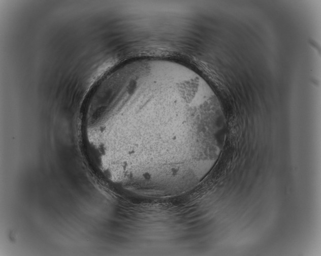 X0000091200679200708231531
