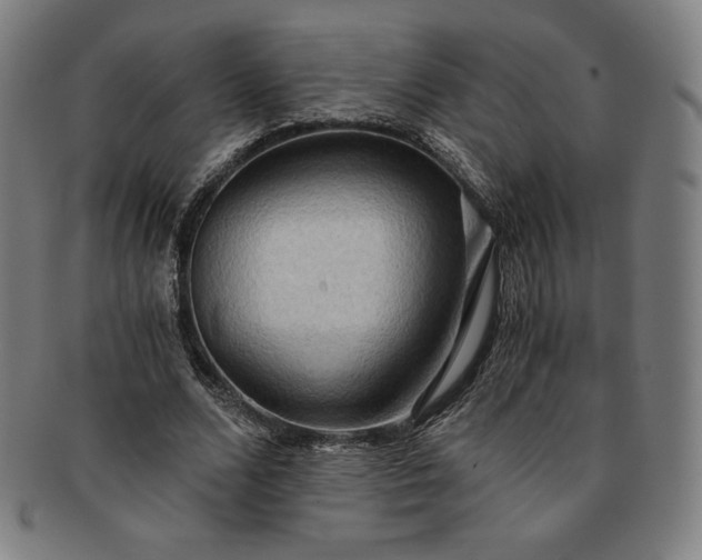 X0000091200680200708231531