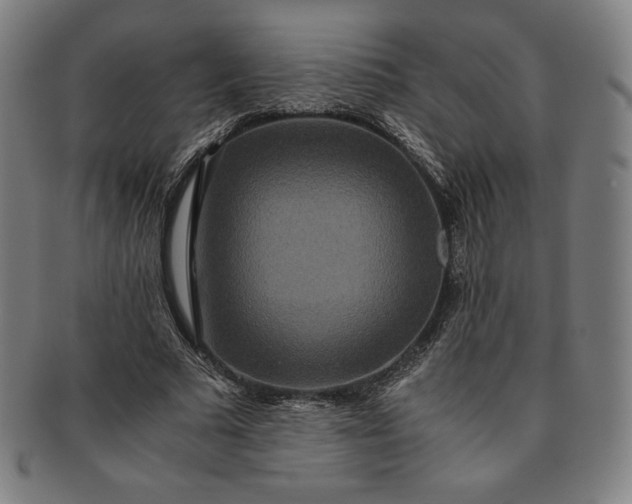 X0000091200681200708231531