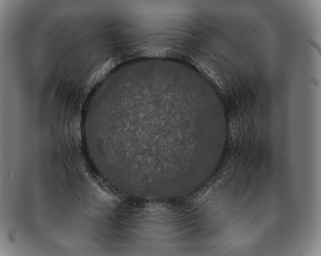 X0000091200682200708231531