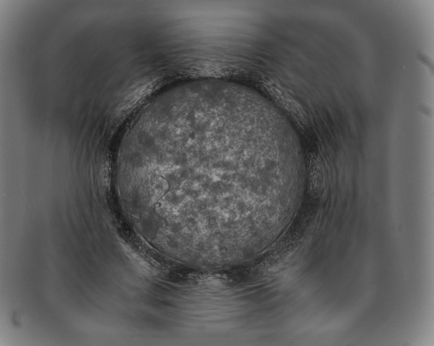 X0000091200683200708231531
