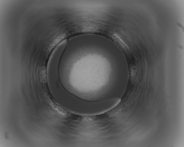 X0000091200684200708231531
