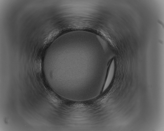 X0000091200685200708231531