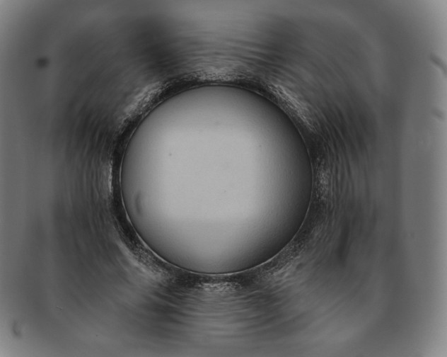 X0000091200686200708231531