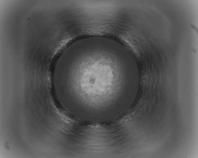 X0000091200688200708231531