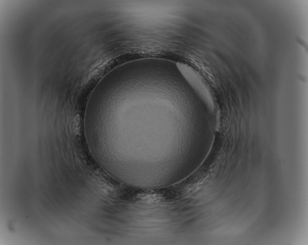 X0000091200689200708231531