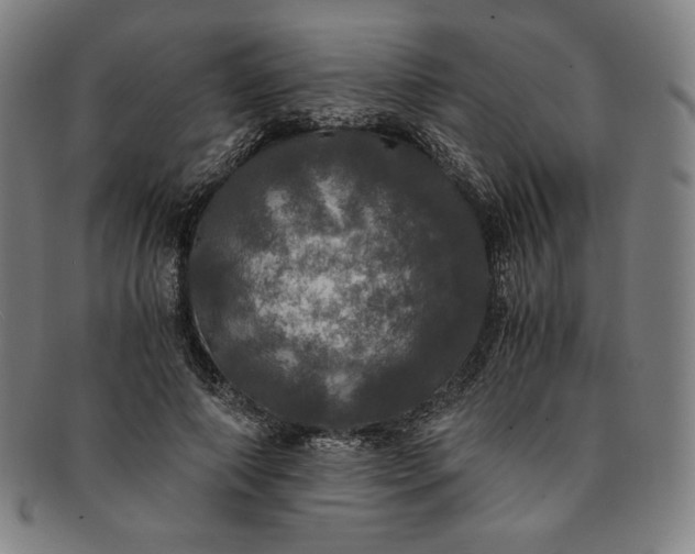 X0000091200690200708231531
