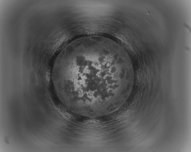 X0000091200691200708231531