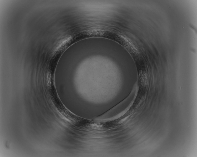 X0000091200692200708231531