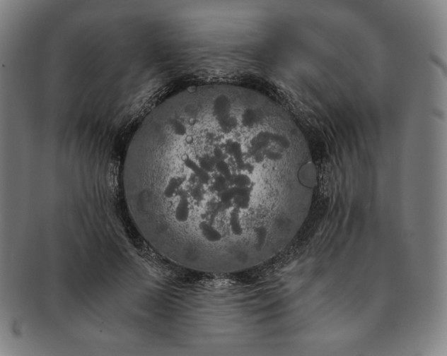 X0000091200695200708231531