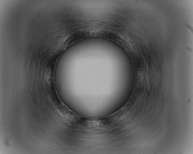 X0000091200698200708231531