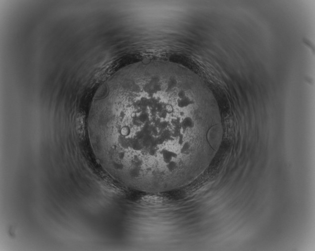 X0000091200699200708231531