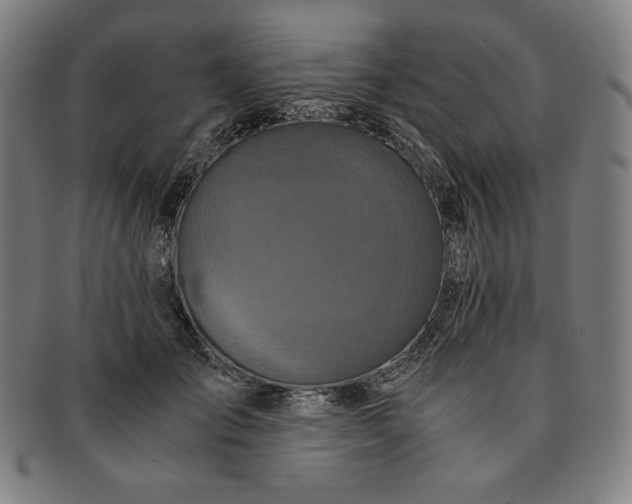 X0000091200701200708231531