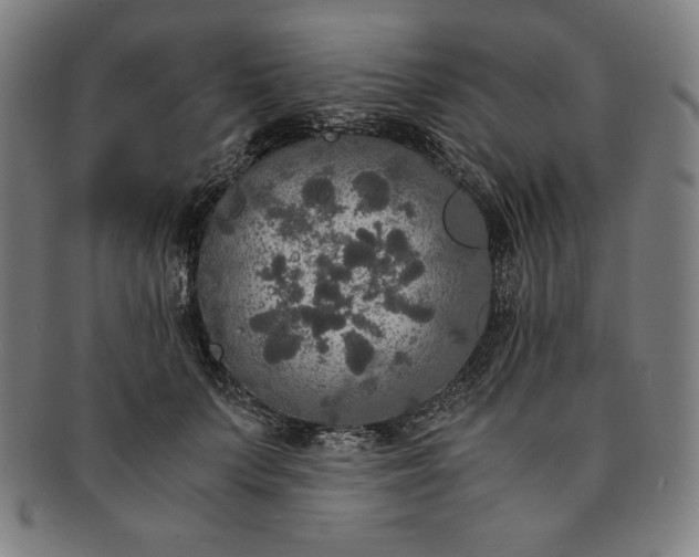 X0000091200703200708231531