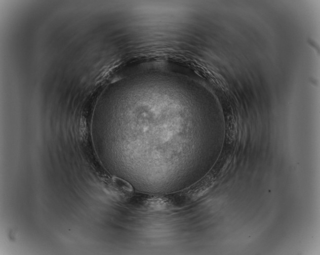 X0000091200704200708231531