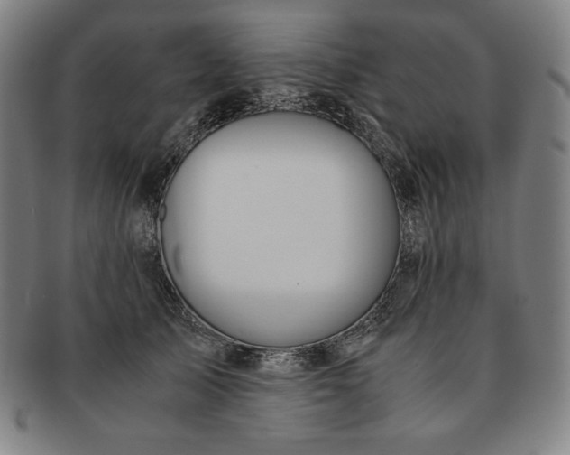 X0000091200705200708231531