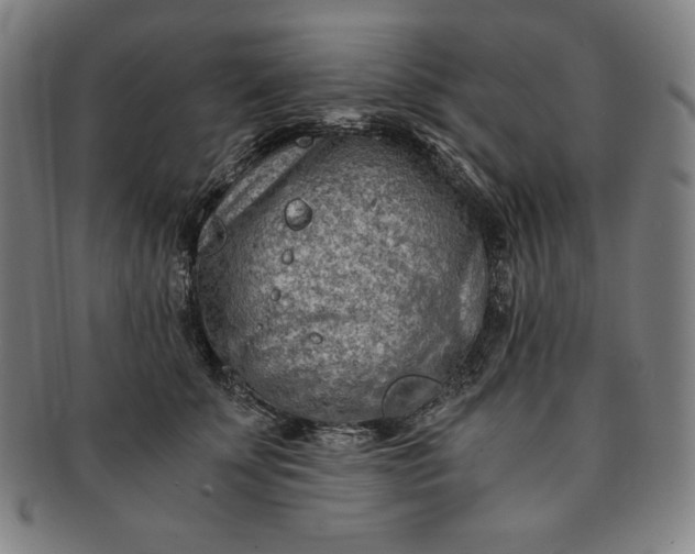 X0000091200707200708231531