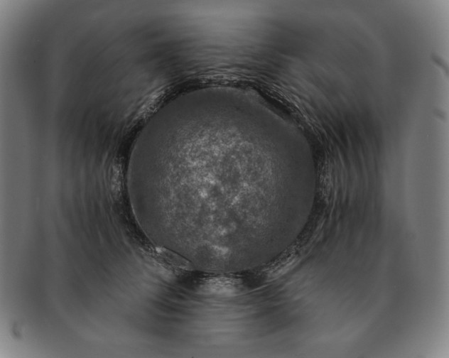X0000091200708200708231531